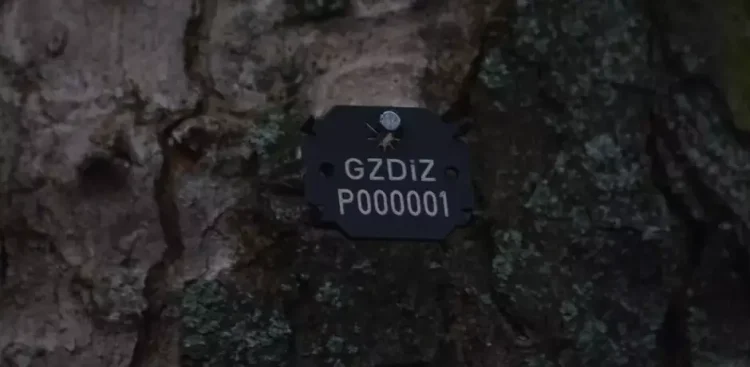 (Fot. GZDiZ/Jakub Chorodeński)