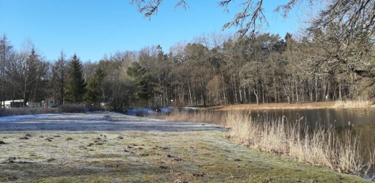 (Fot. Radio Gdańsk/Przemysław Woś)