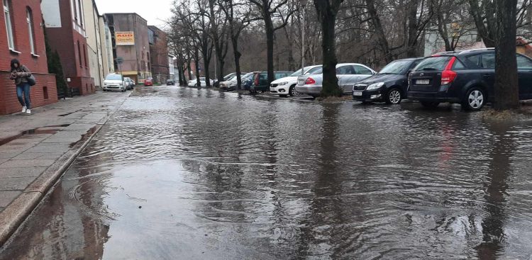 (fot. Radio Gdańsk/Przemek Woś)