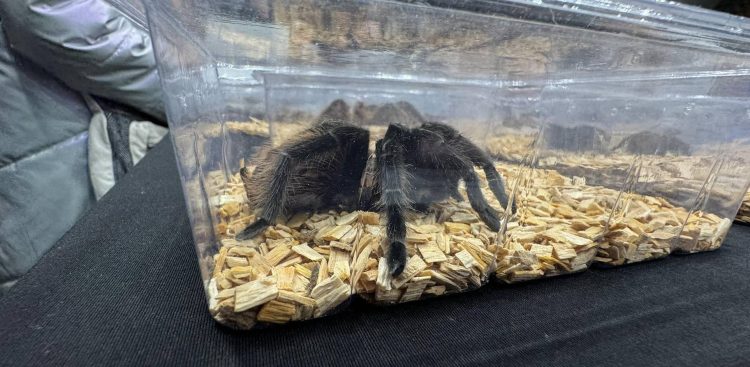 (fot. Radio Gdańsk/Alek Radomski)