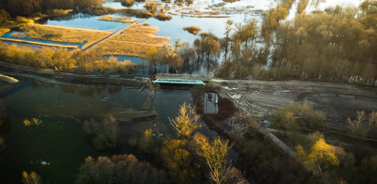 (Fot. Radio Gdańsk/Alek Radomski)