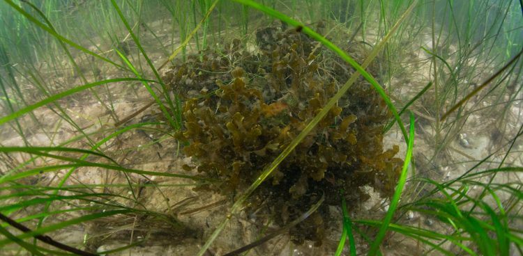 (Fot. Piotr Bałazy)