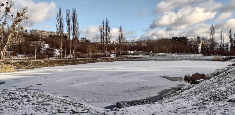 (Fot. Radio Gdańsk/Marta Włodarczyk)