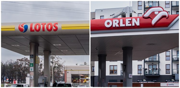 (Fot. Anna Rezulak / KFP)