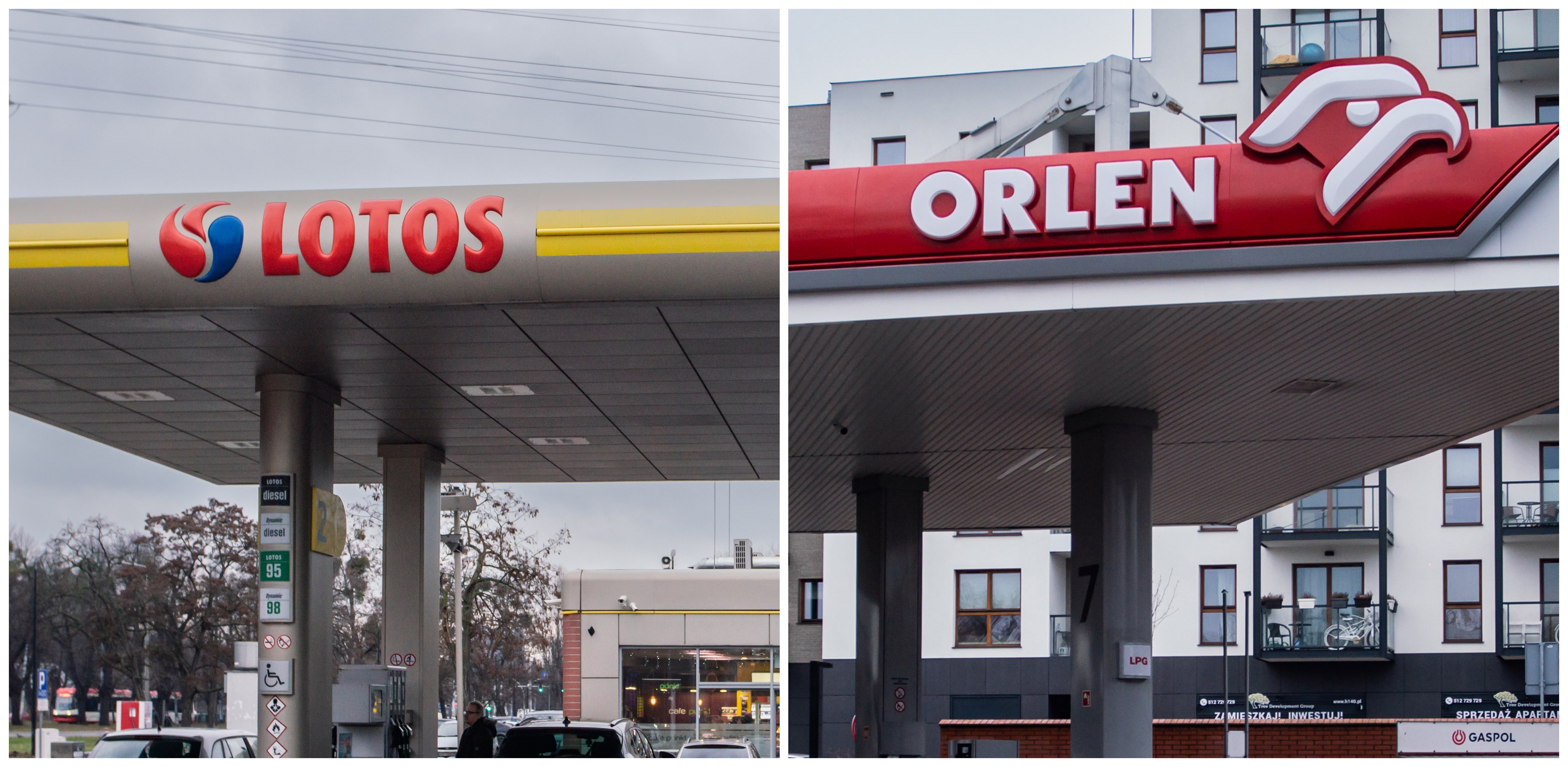 (Fot. Anna Rezulak / KFP)