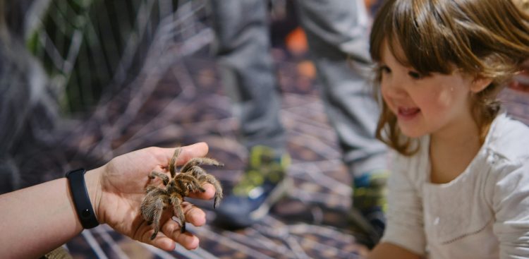 (fot. mat. sponsorowane)