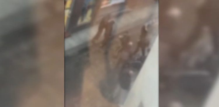 (Fot. screen z filmu nagranego przez anonimowego świadka)