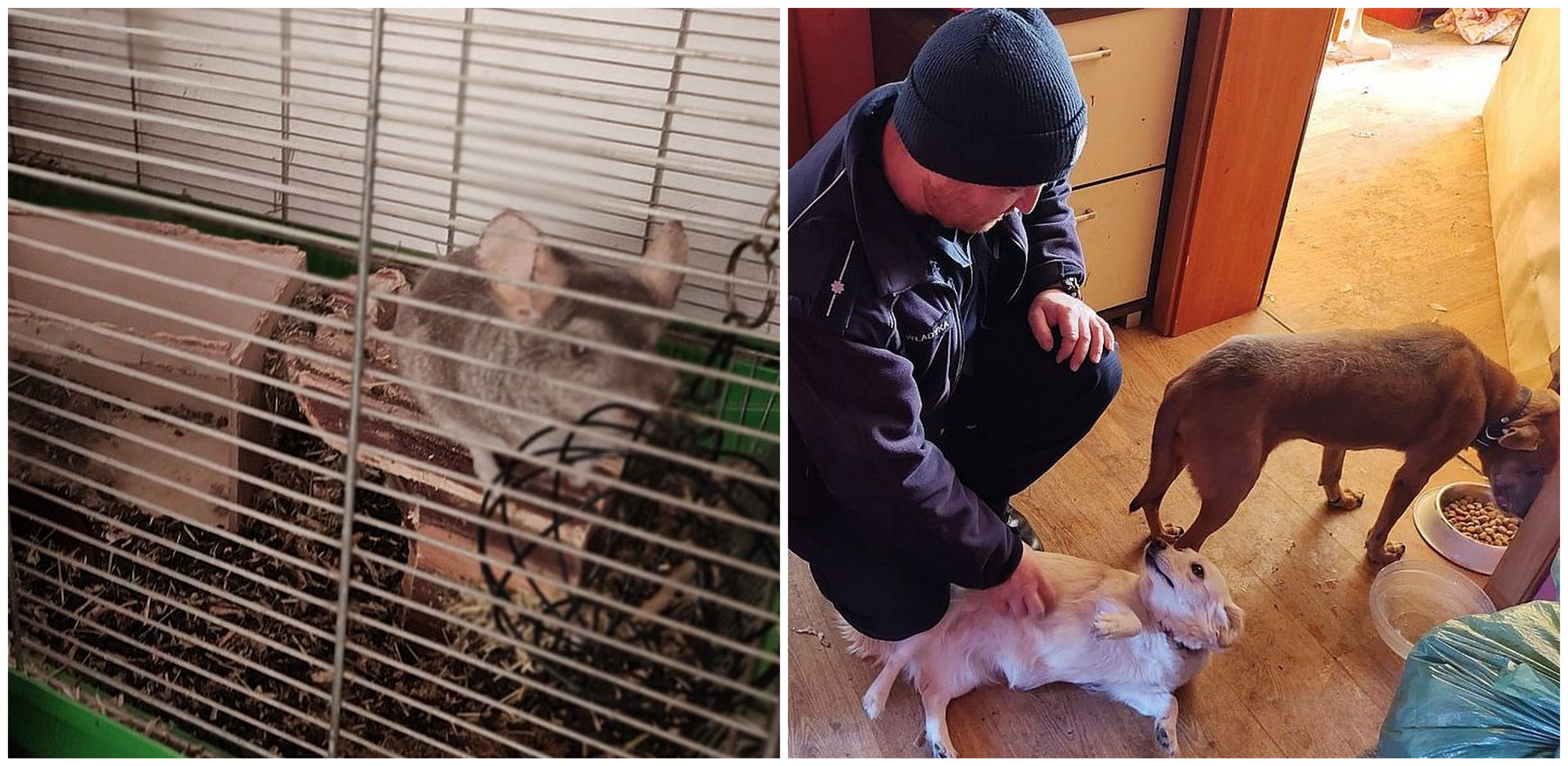 (Fot. pomorska.policja.gov.pl)