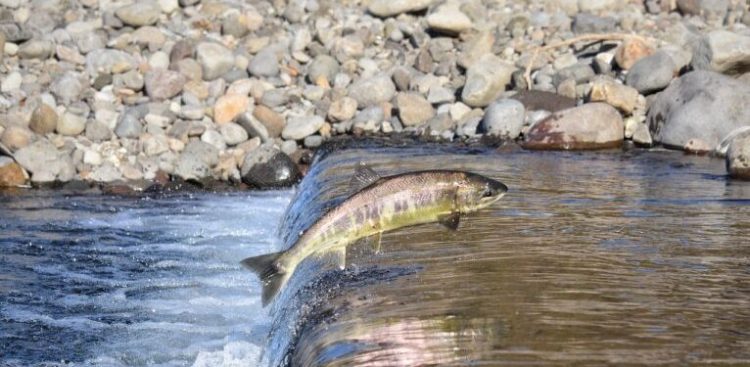 (fot. Radio Gdańsk/archiwum)