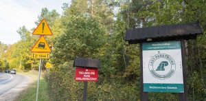 (Fot. Agencja KFP/Anna Bobrowska)