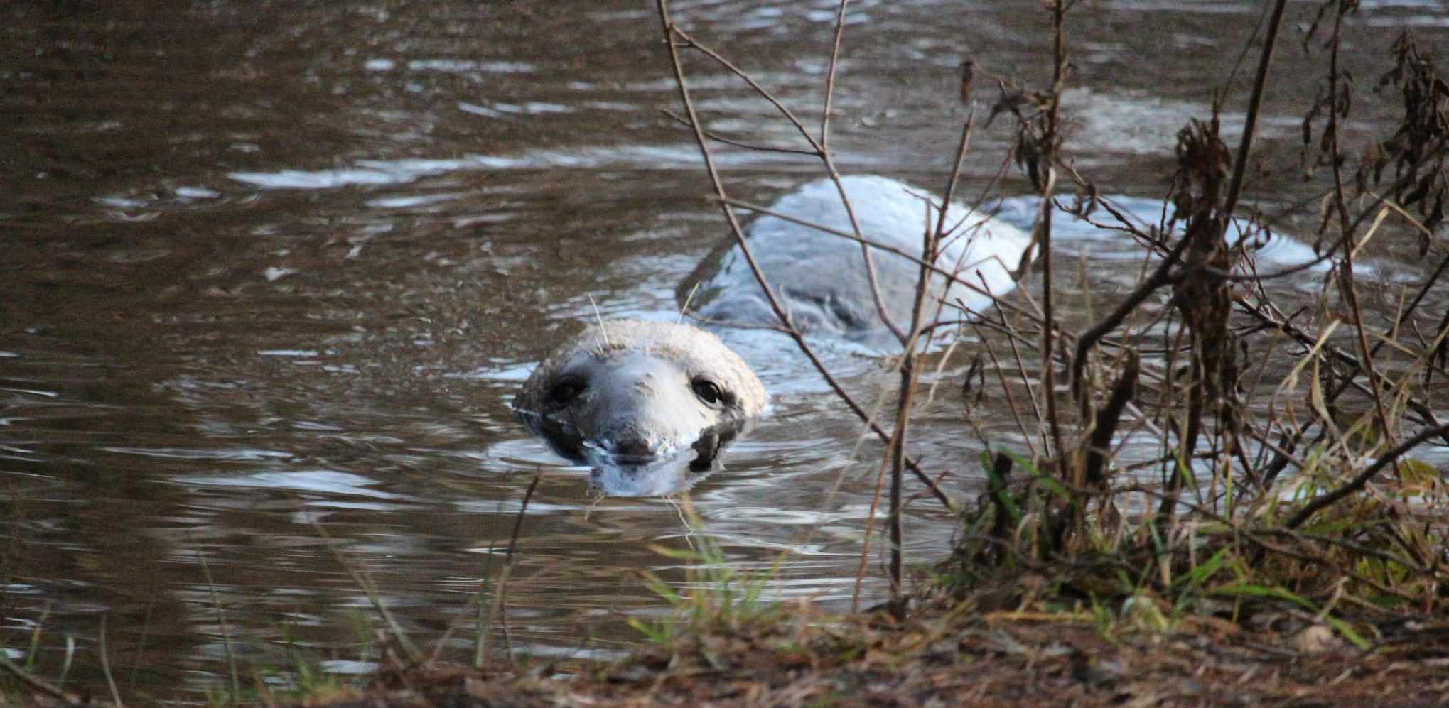 (Fot. Paweł Żmuda)