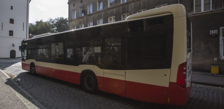 (Fot. Krzysztof Mystkowski / KFP)