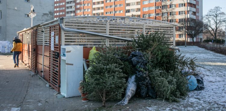 (fot. Krzysztof Mystkowski / KFP)