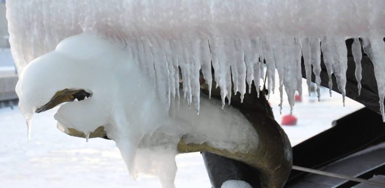 (Fot. Radio Gdańsk/Rafał Korbut)