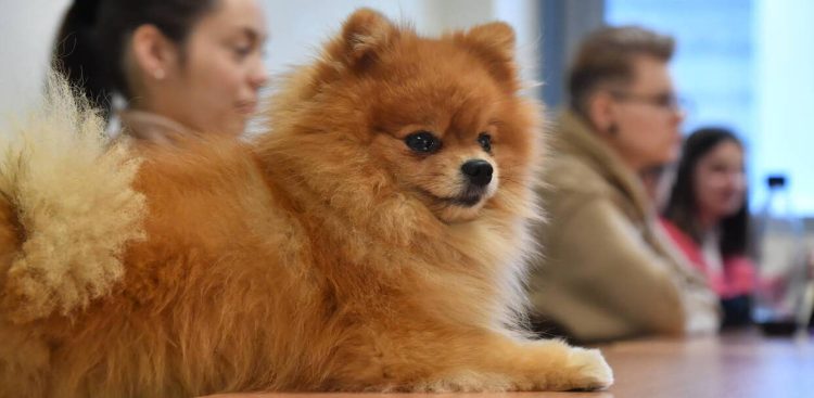 Zdjęcie ilustracyjne (fot. PAP/Andrzej Jackowski)