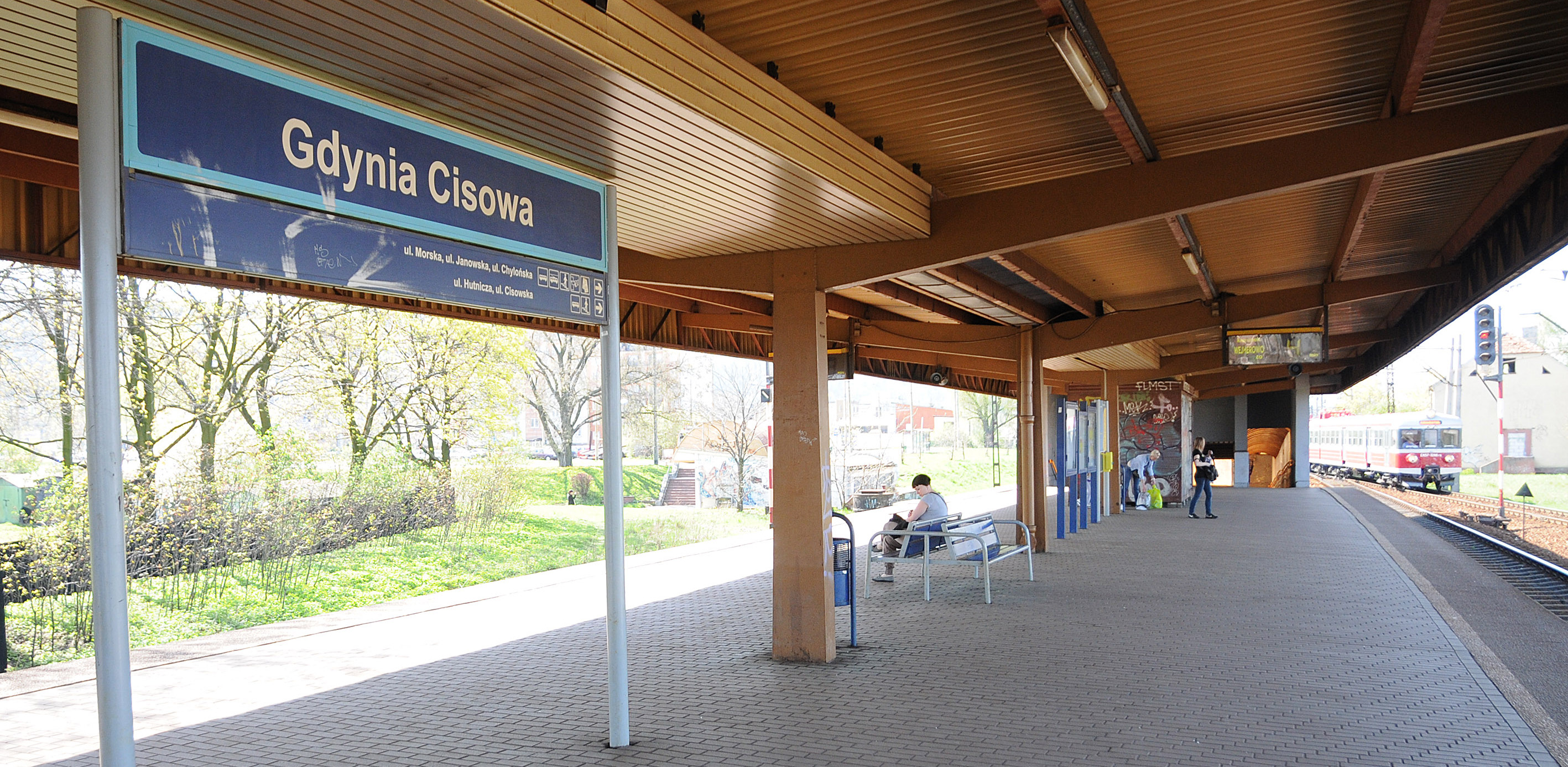 (fot. Andrzej J. Gojke)