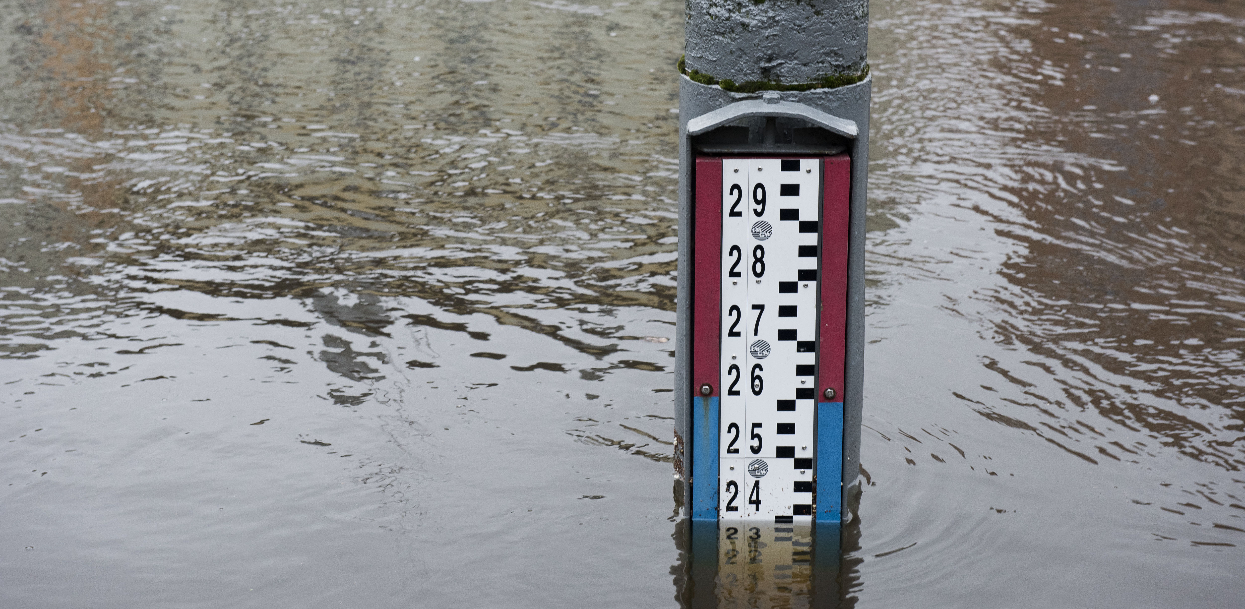 (Fot. Krzysztof Tomasik/KFP)