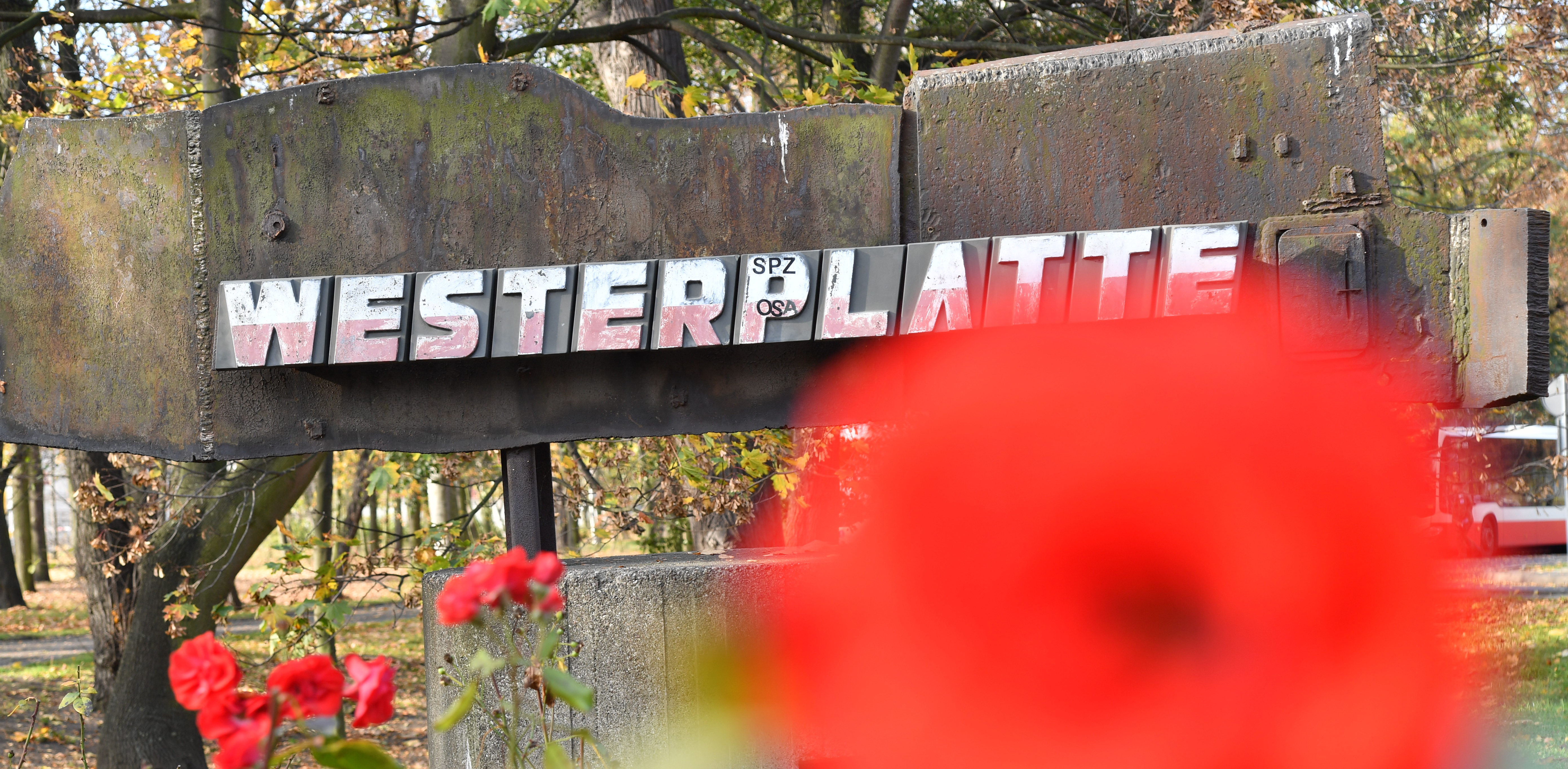 (fot. Wojciech Strozyk/REPORTER/KFP)