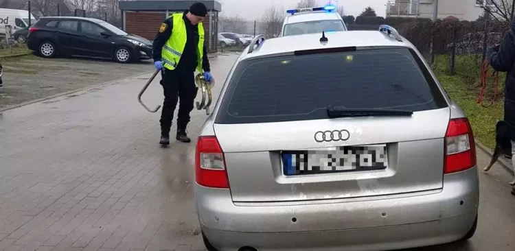 (Fot. Straż Miejska w Gdańsku)