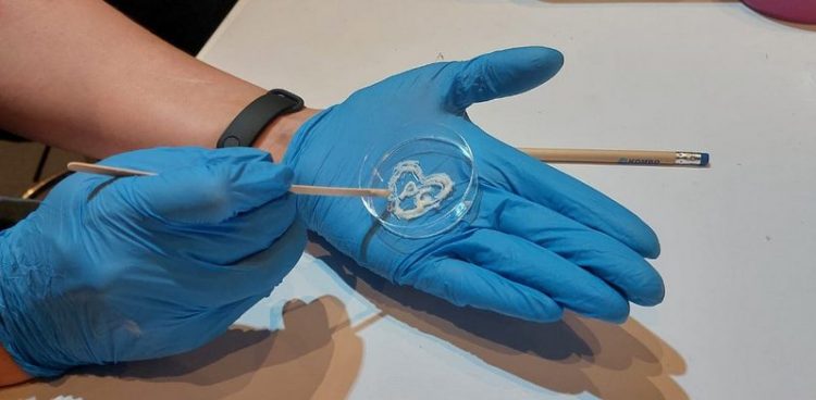 (fot. Politechnika Gdańska)