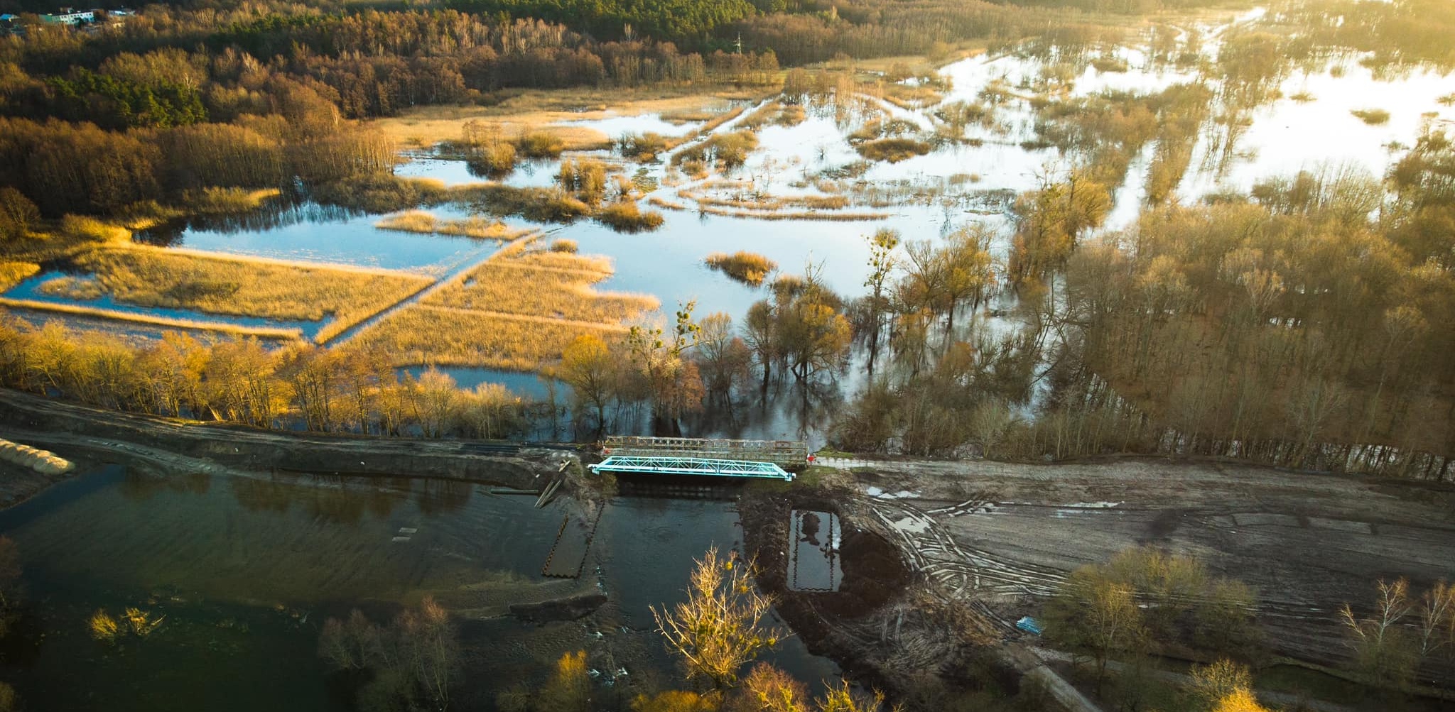 (fot. Alek Radomski)