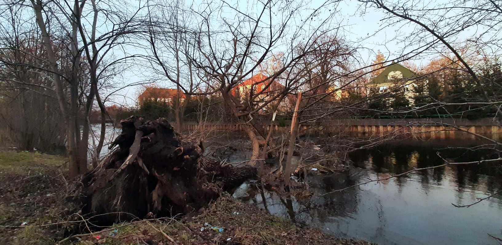 (fot. Radio Gdańsk/Przemek Woś)