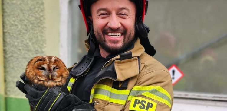 (Fot. Facebook.com/KM PSP Gdańsk)