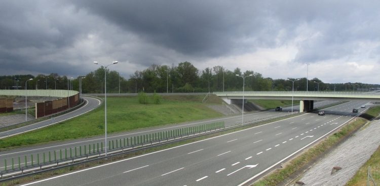 (Fot. Wikimedia Commons/Lukasz Pelplin)