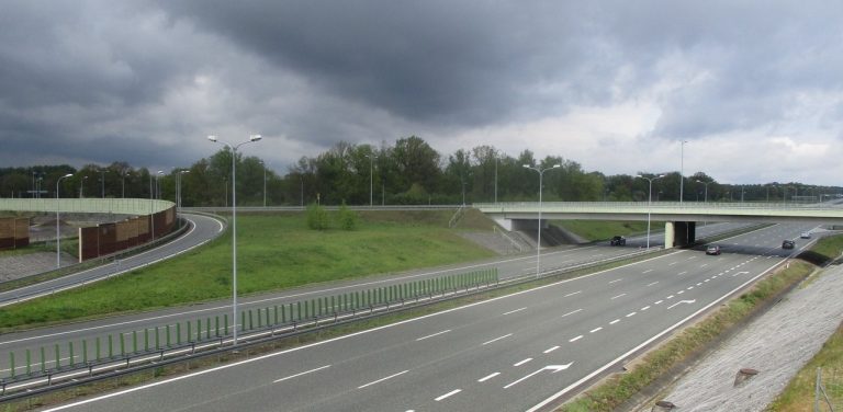 (Fot. Wikimedia Commons/Lukasz Pelplin)