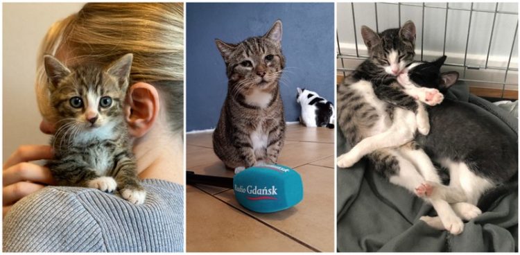 (Fot. Radio Gdańsk/Edyta Stracewska/Pomorska Fundacja Bracia Mniejsi)