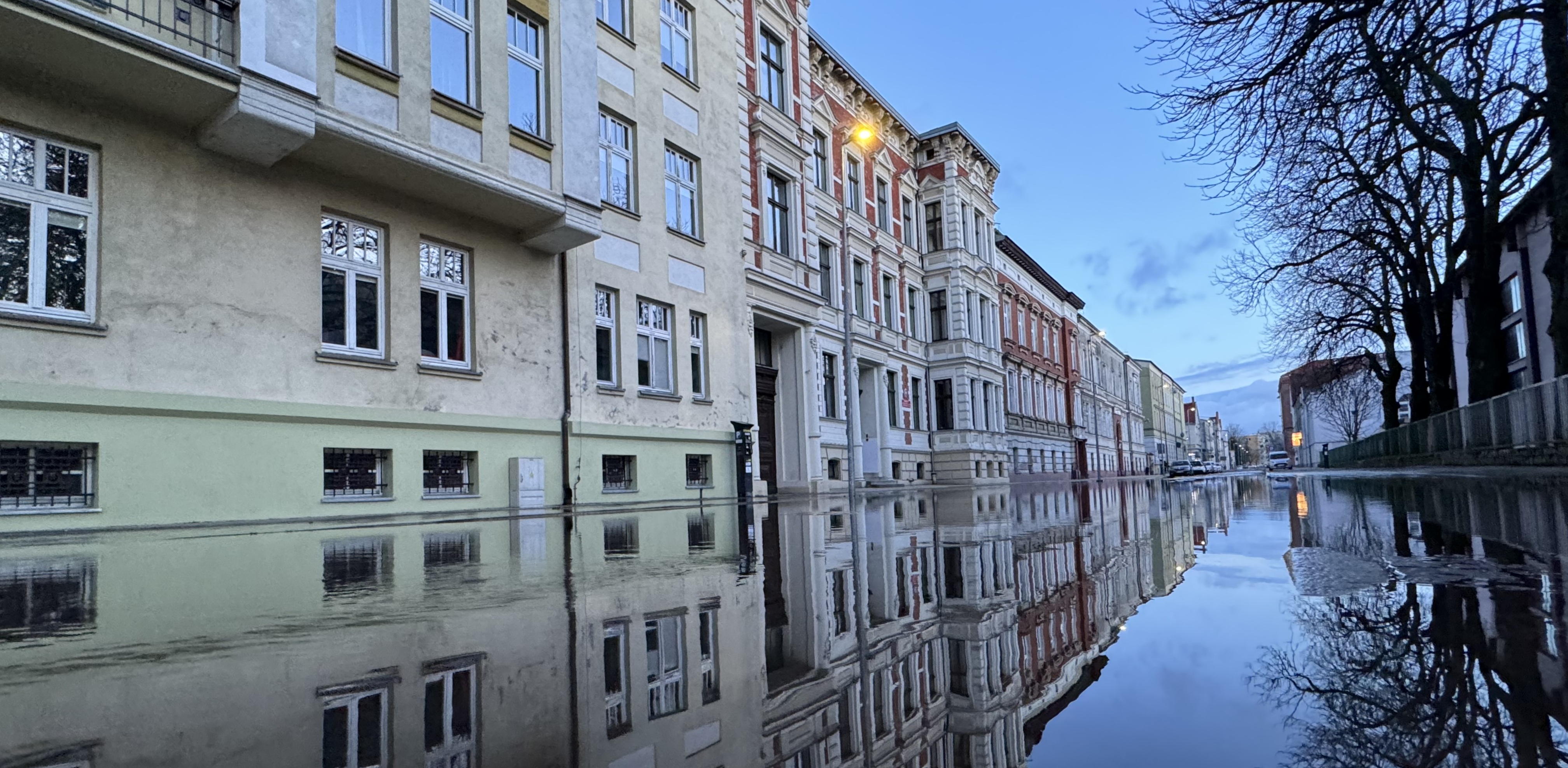 (fot. Alek Radomski)