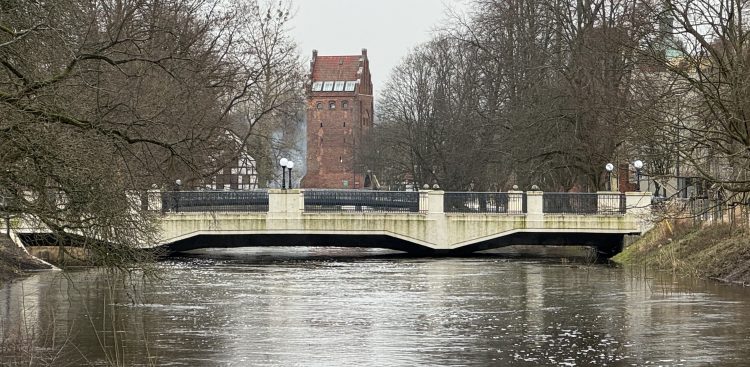 (fot. Alek Radomski)