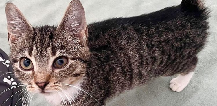 (fot. Radio Gdańsk/Joanna Merecka-Łotysz)