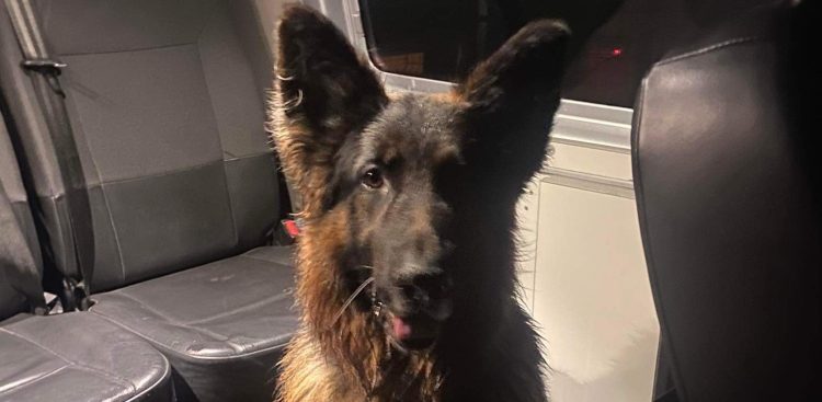 (Fot. Radio Gdańsk/Grzegorz Armatowski)