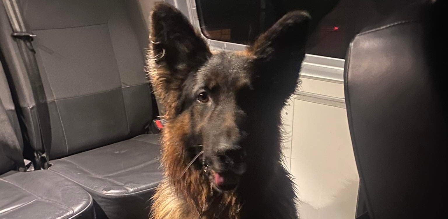 (Fot. Radio Gdańsk/Grzegorz Armatowski)