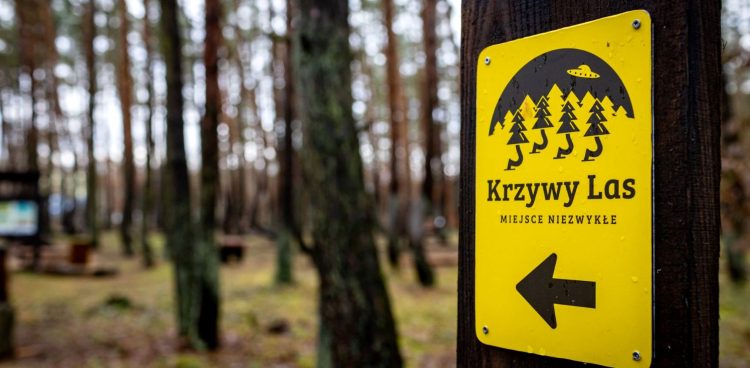 (Fot. Materiały Prasowe)