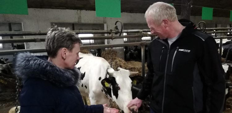 Praca na roli nigdy nie była łatwa. Gospodarstwo Rodziny Derc z Połchowa utrzymuje się z produkcji mleka. (Fot. Radio Gdańsk/Andrzej Urbański)