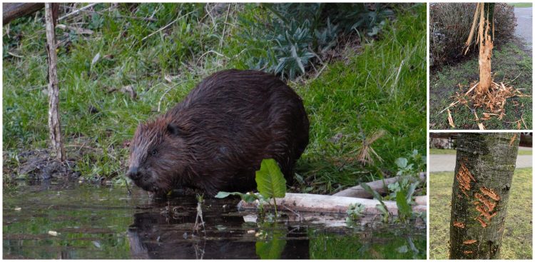 (Fot. Anna Peichert)