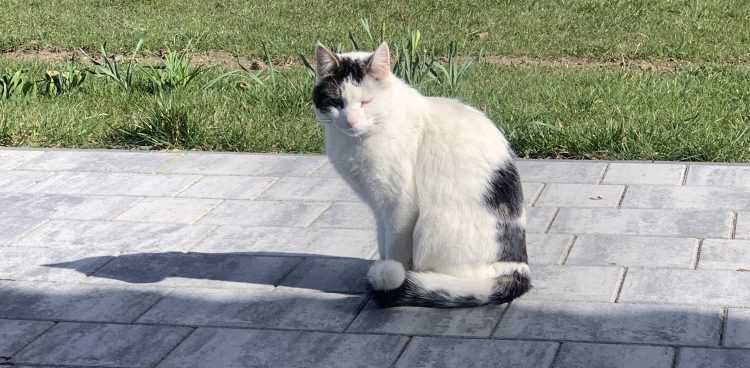 (fot. Radio Gdańsk)