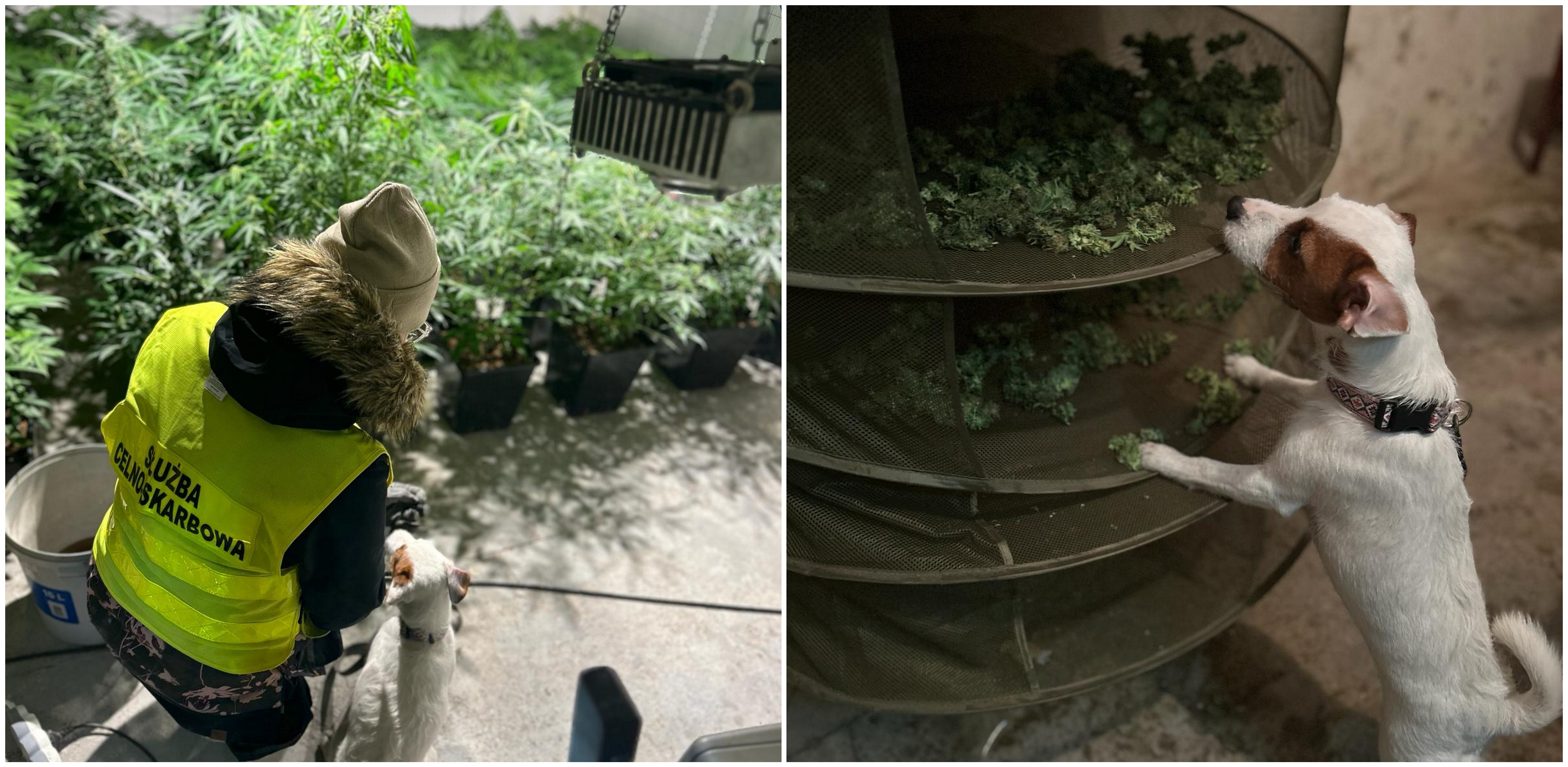 (Fot. Izba Administracji Skarbowej w Gdańsku)