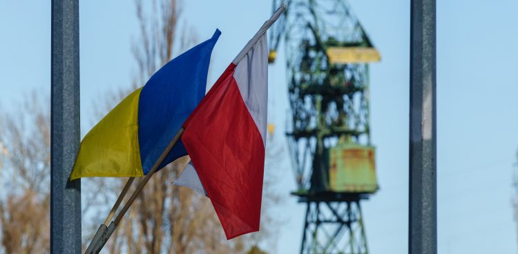 (Fot. Anna Rezulak / KFP)