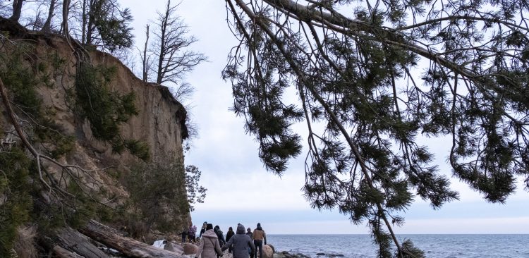 Klif Orłowski (fot. Agencja KFP/Anna Rezulak)