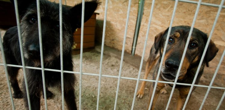 (fot. Mateusz Ochocki / KFP)