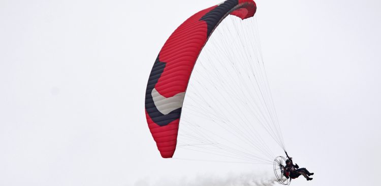 (Fot. Wikimedia Commons/Jakub Hałun)