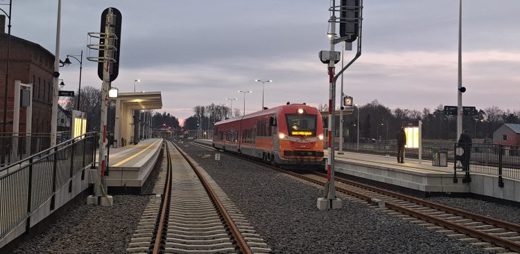 (Fot. Radio Gdańsk/Sebastian Kwiatkowski)