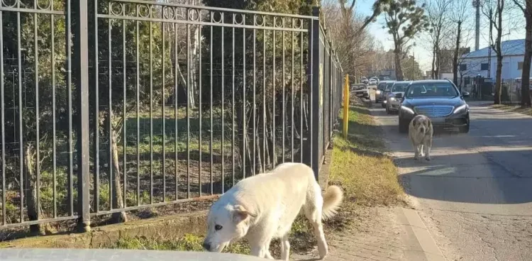 (Fot. strazmiejska.gda.pl)