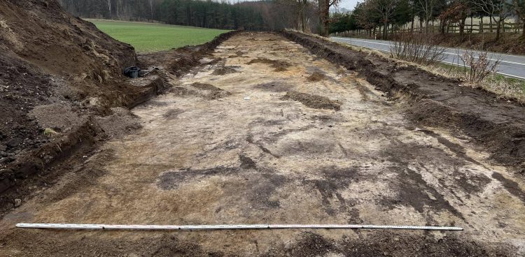 (fot. P. Szczepanik)