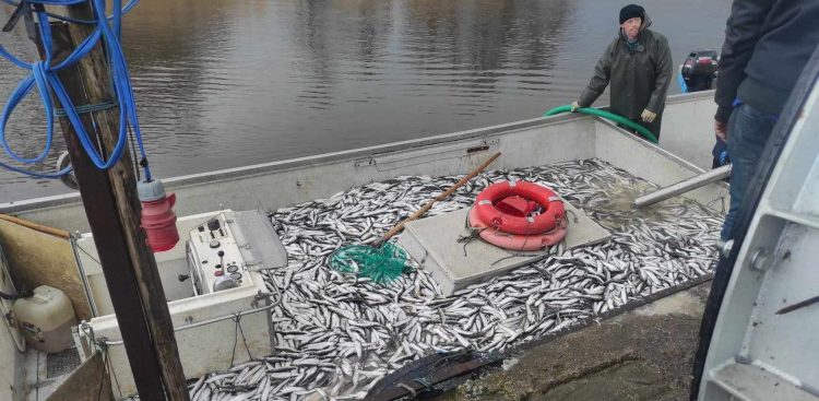 (fot. Radio Gdańsk/Mateusz Czerwiński)