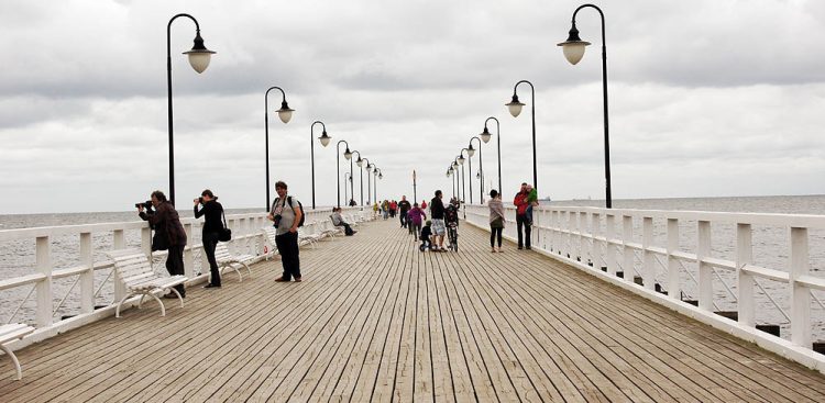 (Fot. Wikimedia Commons/Barbara Maliszewska)