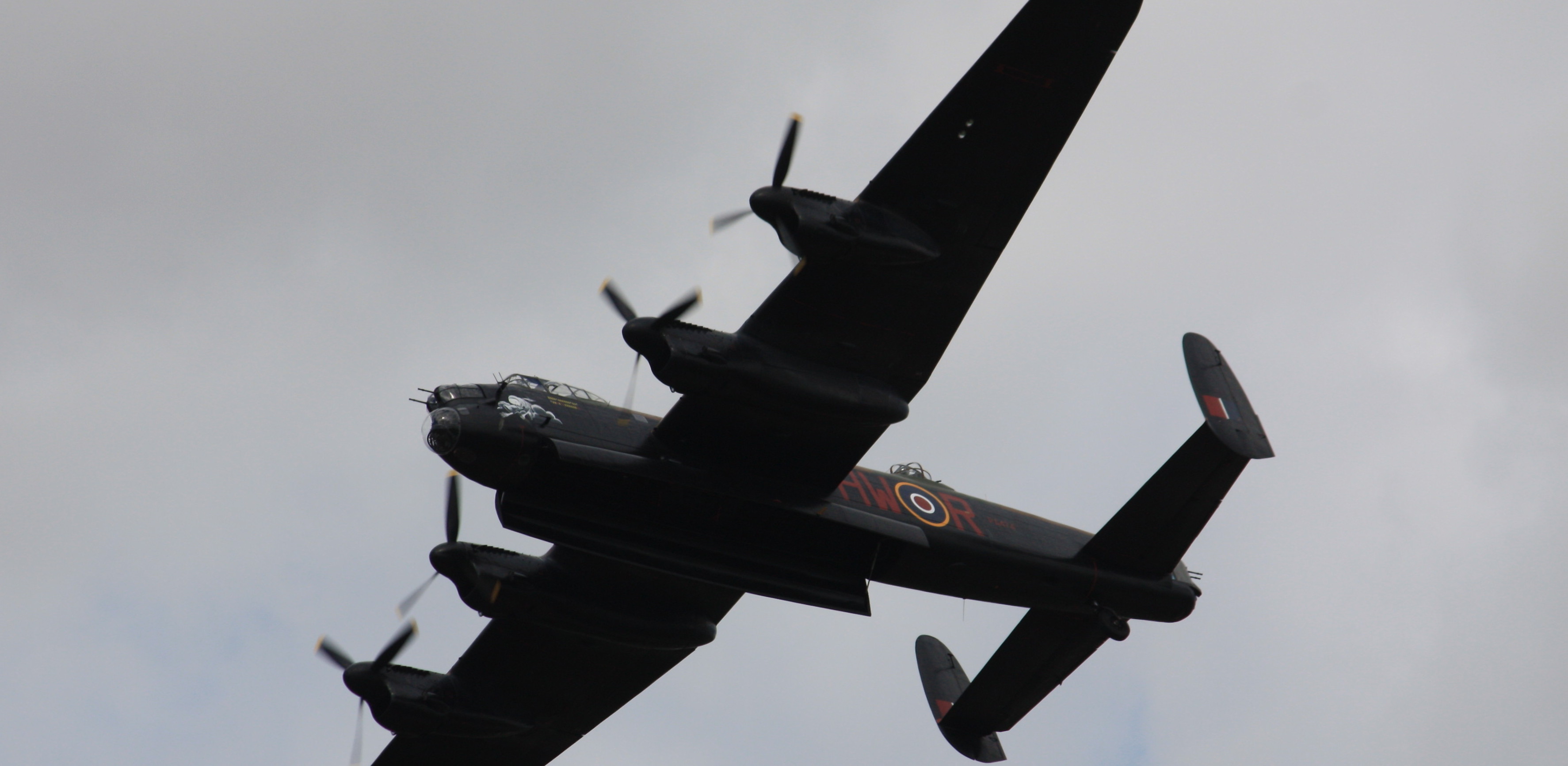 (Fot. Wikimedia Commons/Mark Kent)